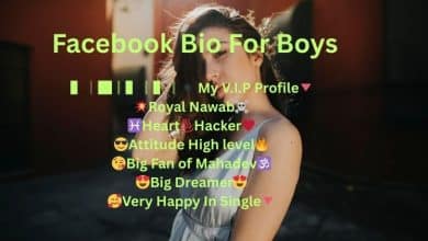 Facebook Bio For Boys