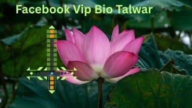Facebook Vip Bio Talwar
