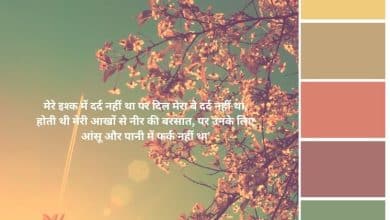 very sad 2 line shayari