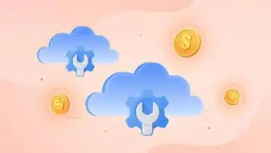 Cost Management Strategies for Multi-Cloud Connectivity Deployments